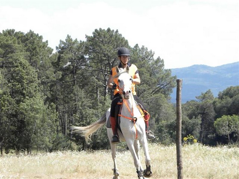 La Selección Navarra de Trec se clasifica para el Campeonato de España 2011